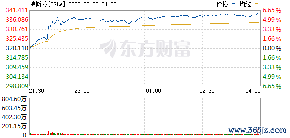 R图 TSLA_0
